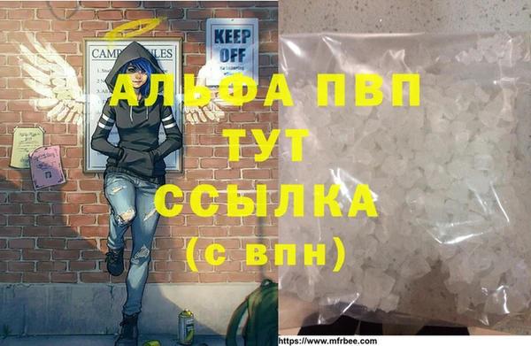 спиды Медвежьегорск