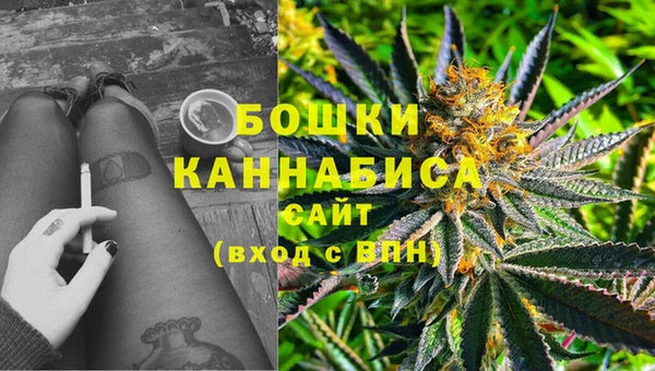 спиды Медвежьегорск
