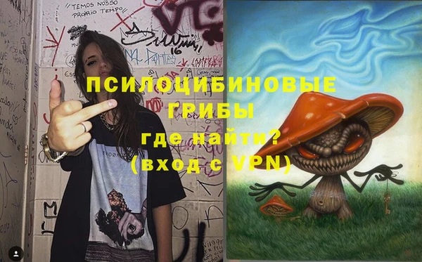 спиды Медвежьегорск