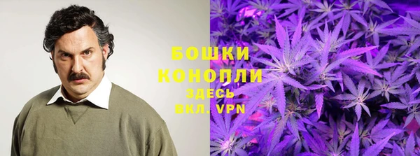 2c-b Белая Холуница