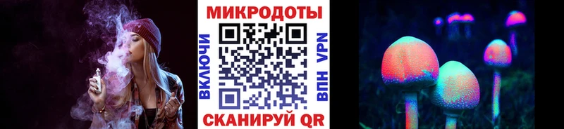 Галлюциногенные грибы Psilocybe  Щигры 