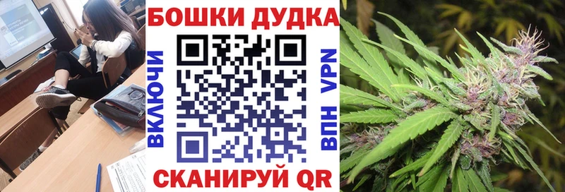 Бошки Шишки ГИДРОПОН  гидра ссылка  Щигры  закладки 